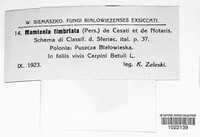 Image Associated With the Occurence